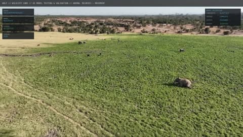 Environmental and reserve monitoring from the air
